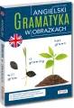 Angielski. Gramatyka w obrazkach - tantis.pl