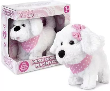 Piesek Natalia chodzący na smyczy