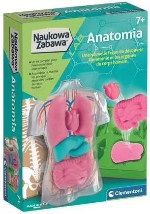 Naukowa Zabawa. Anatomia - tantis.pl