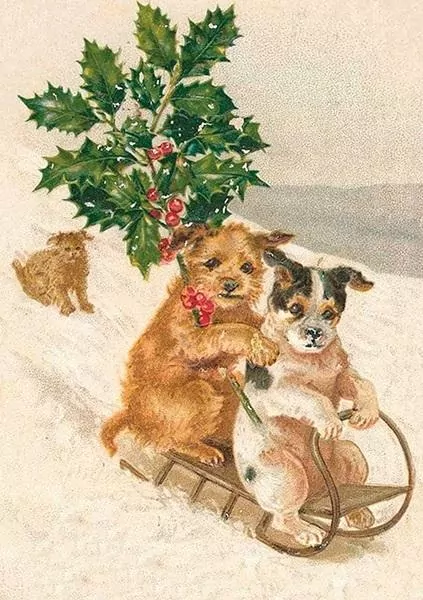 Karnet ST327 B6 + koperta Pieski na sankach Święta - tantis.pl