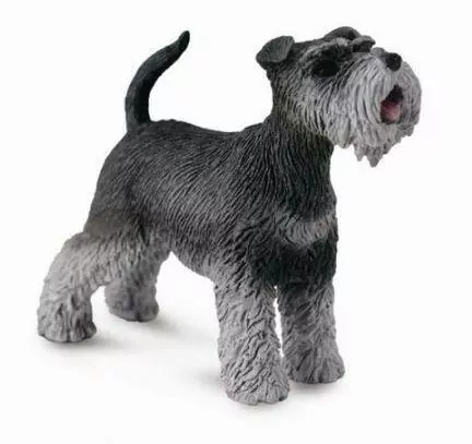 Collecta. Figurka Schnauzer M - tantis.pl