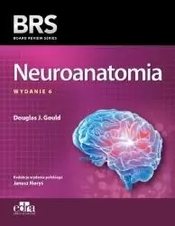 Neuroanatomia - tantis.pl