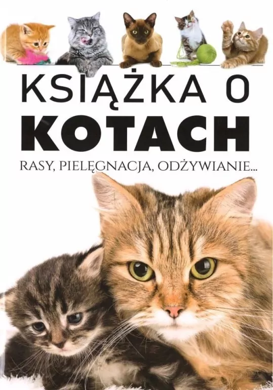 Książka o kotach - tantis.pl