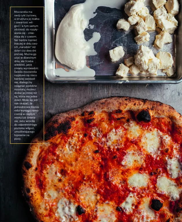 Pizza. Przepisy i techniki znanego pizzaiolo - tantis.pl