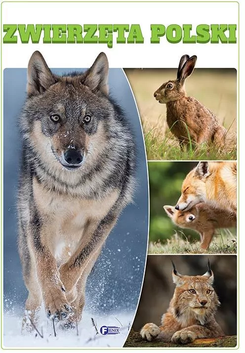 Zwierzęta Polski - tantis.pl