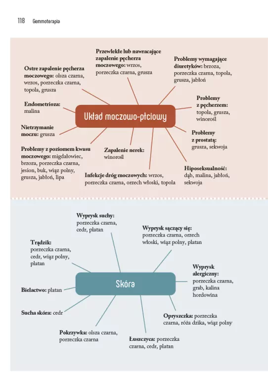 Gemmoterapia. Pączki roślin dla naszego zdrowia - tantis.pl
