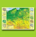 Podkład na biurko. Mapa fizyczna Polski - tantis.pl
