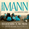 Buddenbrookowie. Dzieje upadku rodziny Audibook - tantis.pl