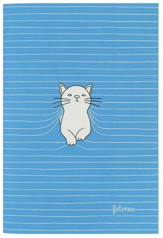 Mały zeszyt. Purrrfect Place. Bold Blue - tantis.pl