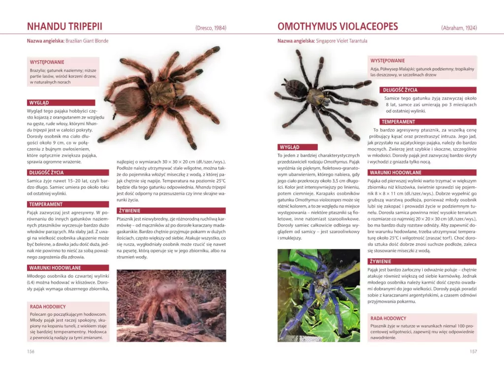 Atlas pająków - tantis.pl