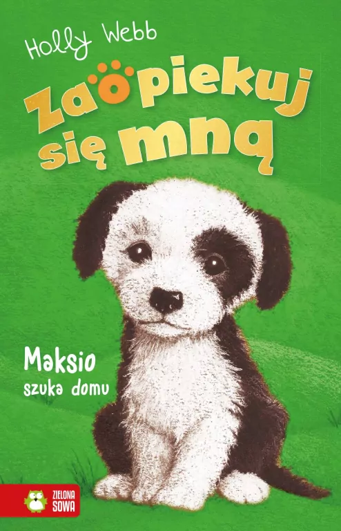 Maksio szuka domu. Zaopiekuj się mną - tantis.pl