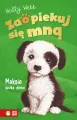 Maksio szuka domu. Zaopiekuj się mną - tantis.pl