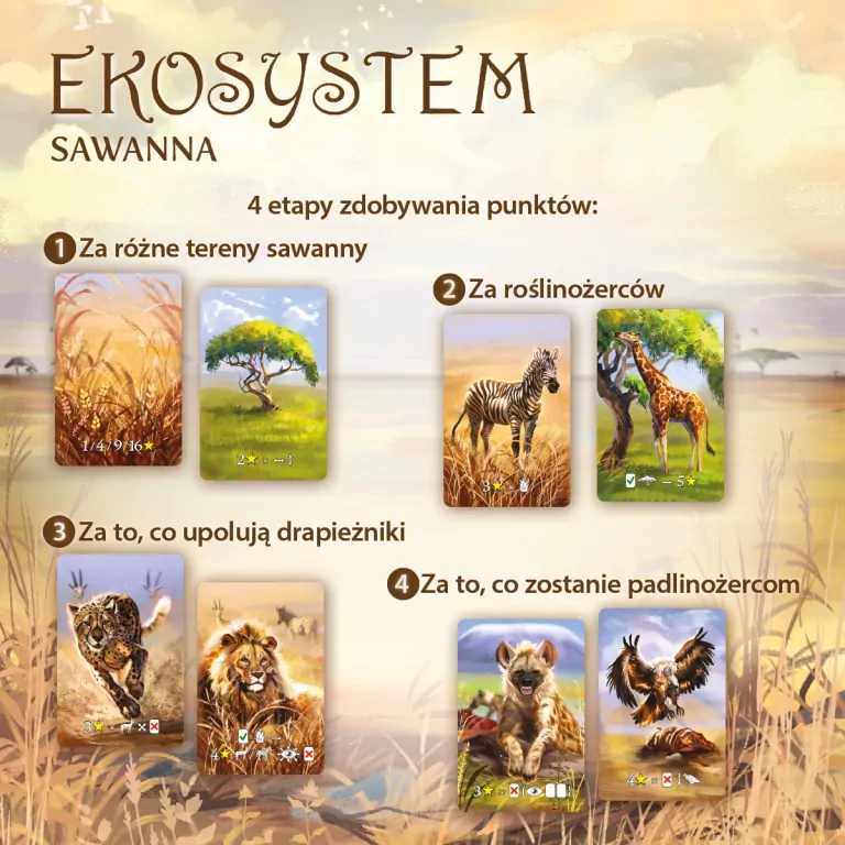 Ekosystem 3. Sawanna - tantis.pl