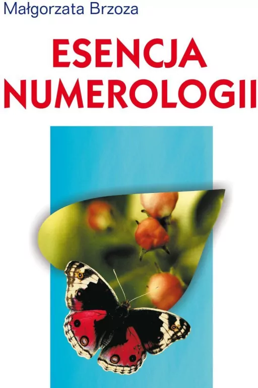 Esencja numerologii - tantis.pl