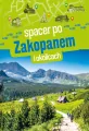 Spacer po Zakopanem i okolicach - tantis.pl