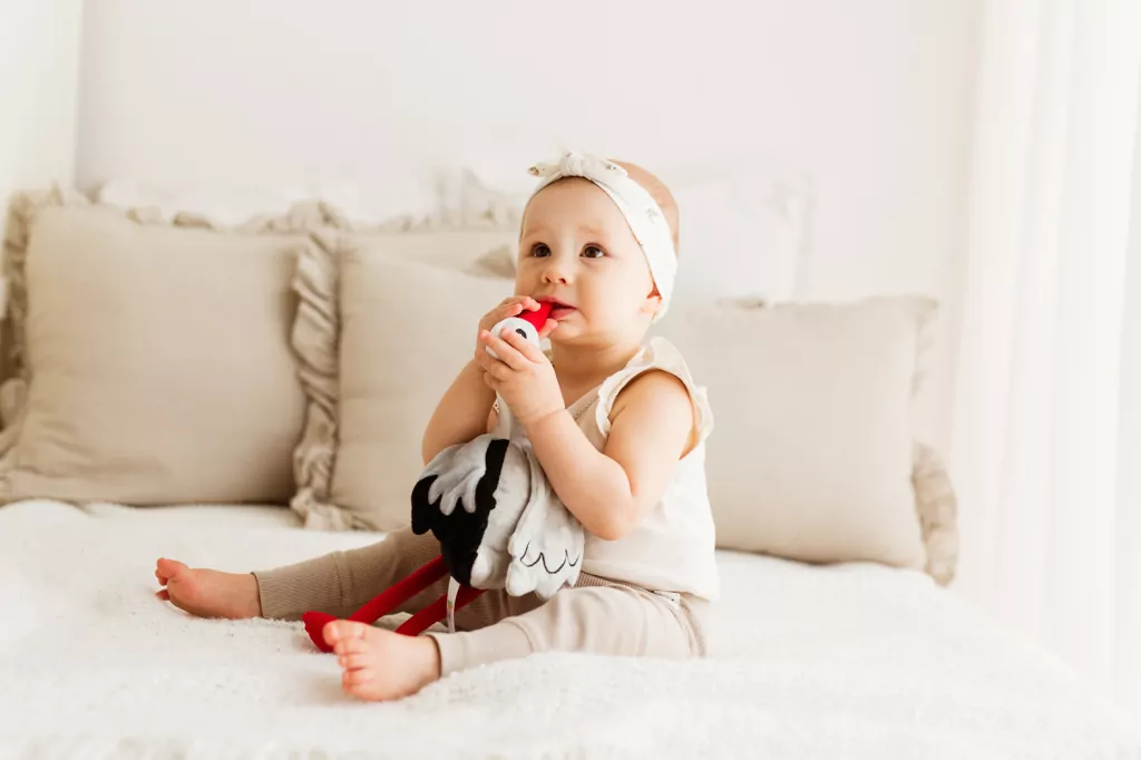 Bocian sensoryczny - tantis.pl