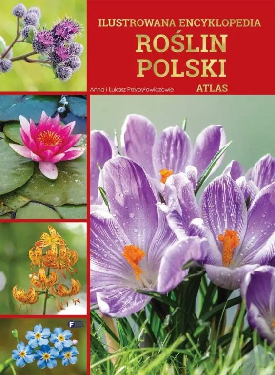 Ilustrowana encyklopedia roślin Polski. Atlas - tantis.pl