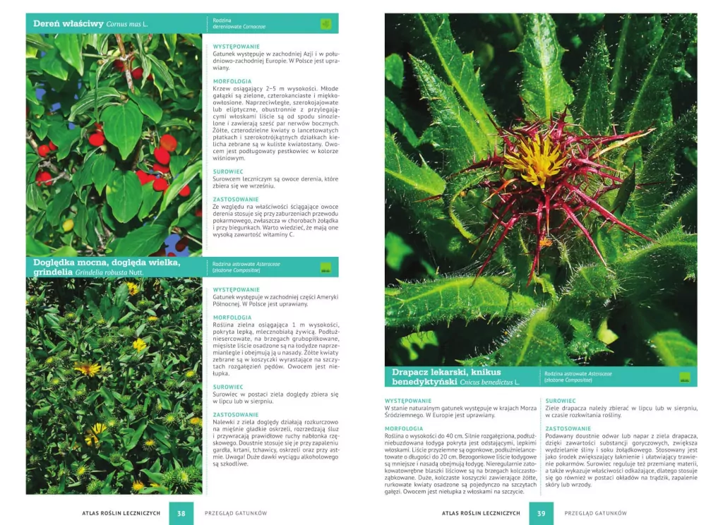 Atlas roślin leczniczych - tantis.pl