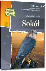 Sokół. Lektura z opracowaniem