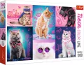 Puzzle 1000. Neon Color Line. Super cats - tantis.pl