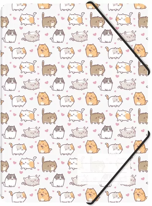 Teczka z gumką A4 pp z nadrukiem kittens - tantis.pl