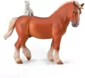 Draft Horse with cat - tantis.pl