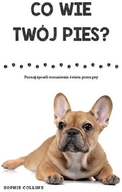 Co wie Twój pies? Poznaj sposób rozumienia świata przez psy - tantis.pl