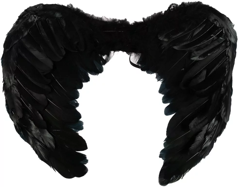 Czarne skrzydła - tantis.pl