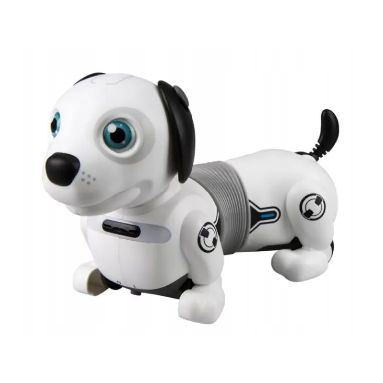 Robot Dackel Junior - tantis.pl