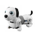 Robot Dackel Junior - tantis.pl