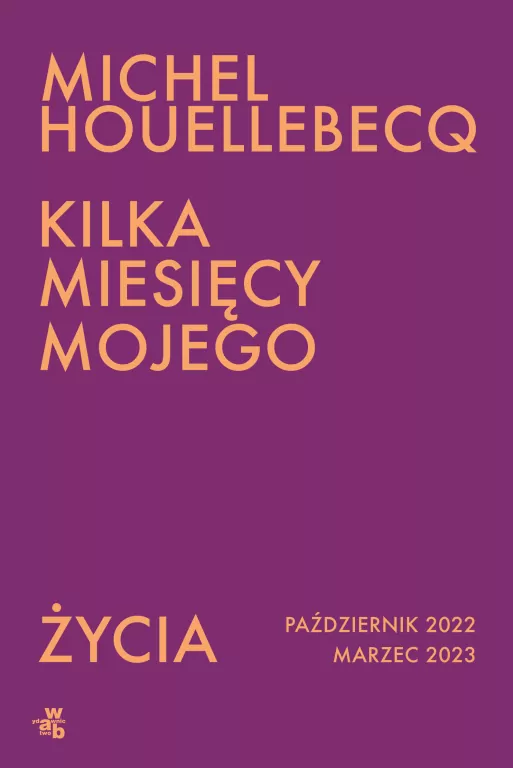 Kilka miesięcy mojego życia - tantis.pl