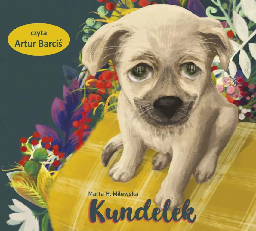 Kundelek audiobook - tantis.pl