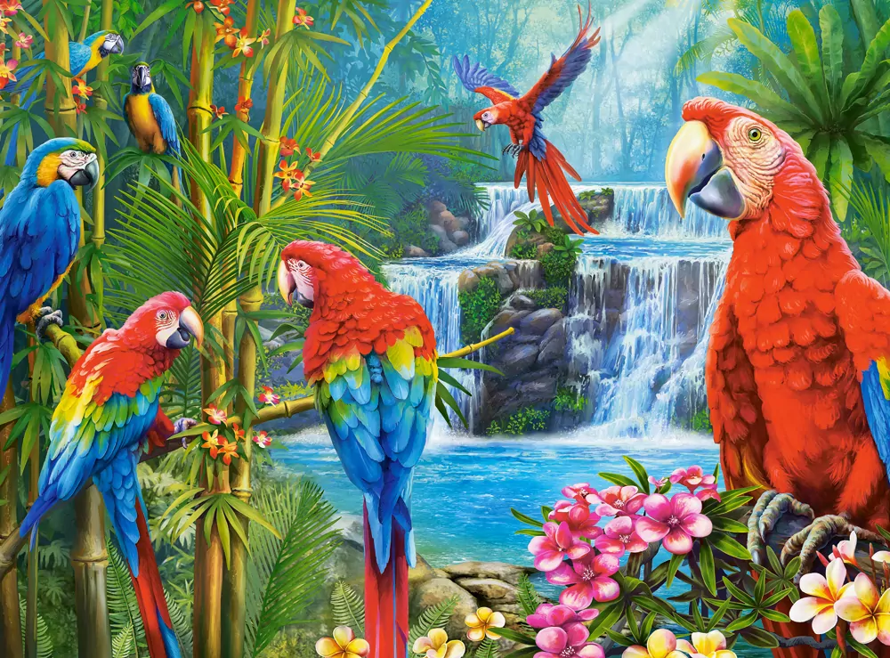 Puzzle 2000. Parrot Meeting - tantis.pl