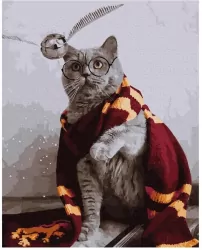 Malowanie po numerach. Magiczny kot