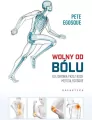 Wolny od bólu - tantis.pl