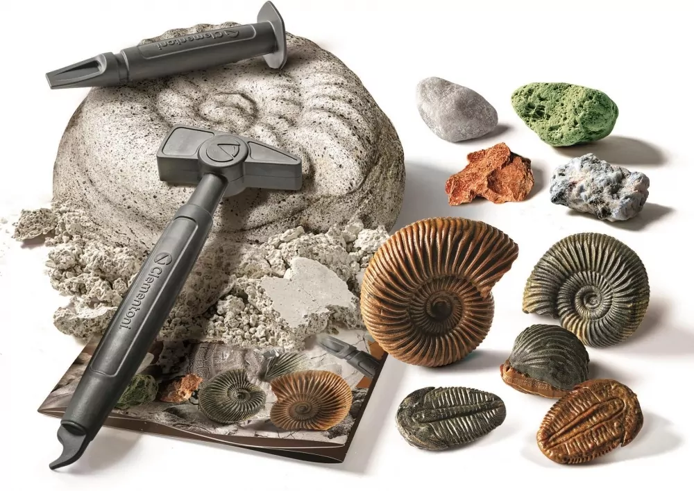 Naukowa zabawa. Skamieliny i minerały - tantis.pl