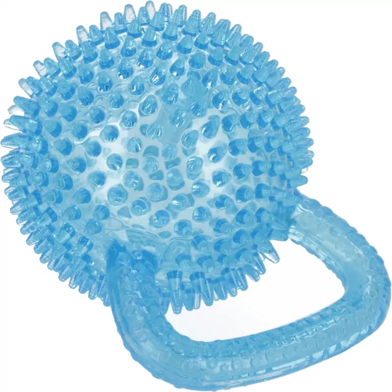 Zabawka dla Psa 9,5cm - tantis.pl