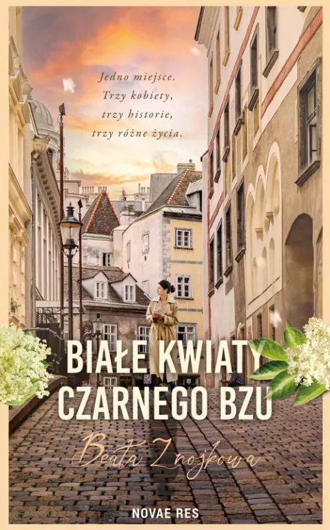 Białe kwiaty czarnego bzu - tantis.pl