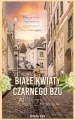 Białe kwiaty czarnego bzu - tantis.pl