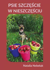 Psie szczęście w nieszczęściu - tantis.pl