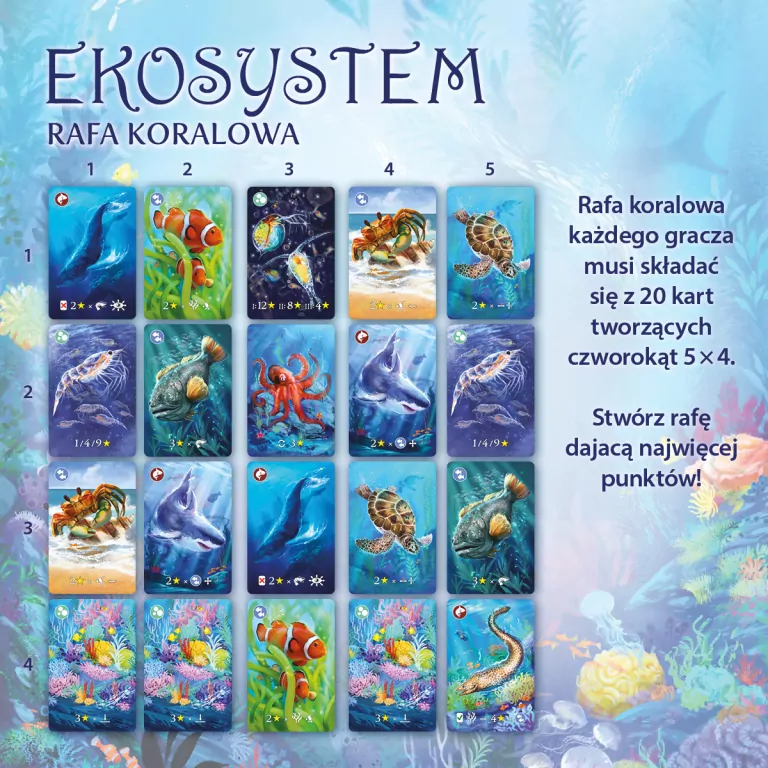 Ekosystem 2. Rafa koralowa - tantis.pl