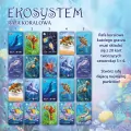 Ekosystem 2. Rafa koralowa - tantis.pl