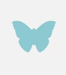 Dziurkacz ozdobny. Motyl 5cm. Mix - tantis.pl