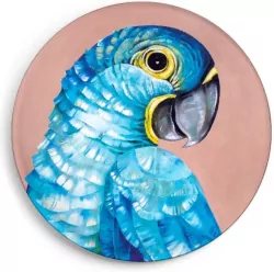 Magnes Modroara hiacyntowa