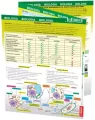 Maxi ściąga. Biologia - tantis.pl