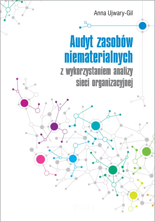 Audyt zasobów niematerialnych z wykorzystaniem analizy sieci organizacyjnej - tantis.pl