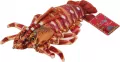Homar 33cm - tantis.pl