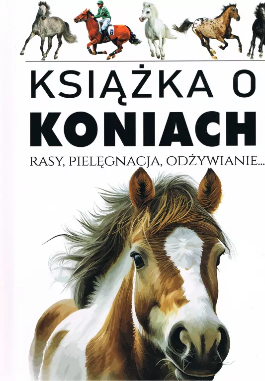 Książka o koniach. Rasy, pielęgnacja, odżywianie - tantis.pl