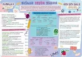Podkładka na biurko - Części zdania - tantis.pl