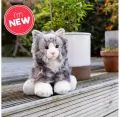 Puszysty Kot - tantis.pl